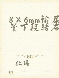 8×6mm输尿管下段结石