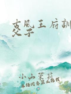 古风王府训诫文父子