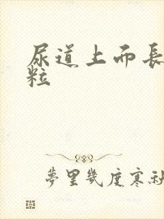 尿道上面长小肉粒