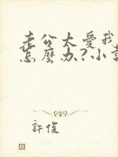 老公太爱我了,怎么办?小说