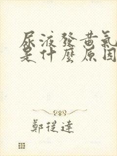 尿液发黄气味重是什么原因