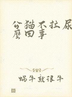 公猫不拉尿是怎么回事