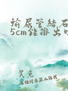 输尿管结石0.5cm能排出吗