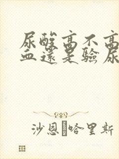 尿酸高不高是验血还是验尿