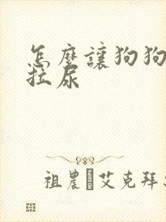 怎么让狗狗不乱拉尿