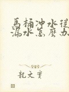 马桶冲水从后面漏水怎么办