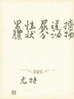 男性尿道挤出黄脓状分泌物