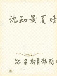 沈知景夏晴小说