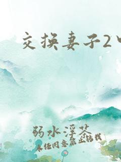 交换妻子2中文