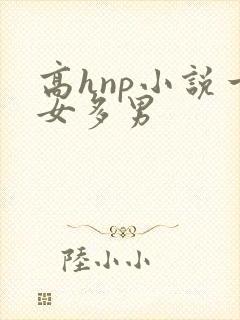 高hnp小说一女多男