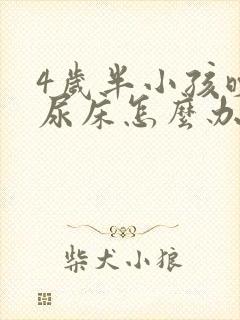 4岁半小孩晚上尿床怎么办