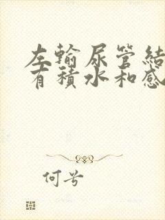 左输尿管结石伴有积水和感染