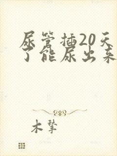 尿管插20天拔了能尿出来吗