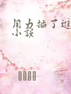 用力插了进去的小说