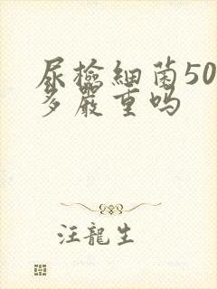 尿检细菌500多严重吗