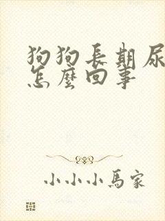 狗狗长期尿黄是怎么回事