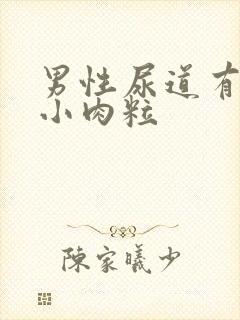 男性尿道有两个小肉粒