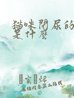 猫咪闭尿的原因是什么