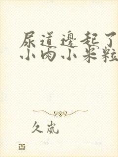 尿道边起了一个小肉小米粒