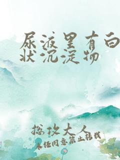 尿液里有白色絮状沉淀物