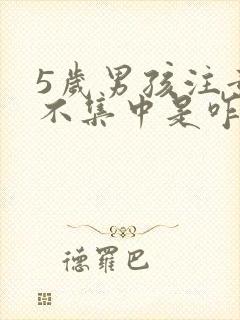 5岁男孩注意力不集中是咋回事