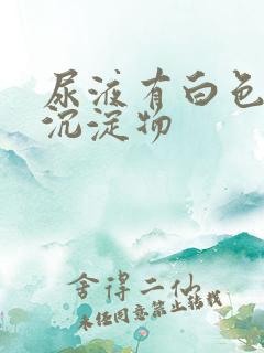 尿液有白色浑浊沉淀物