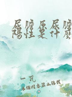 尿胆原尿胆红素阳性是什么意思