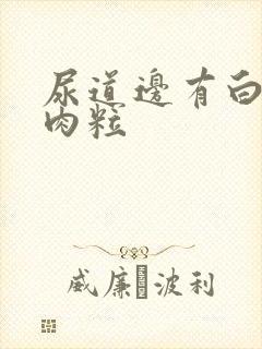 尿道边有白色小肉粒