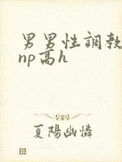 男男性调教小说np高h