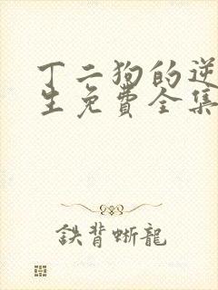 丁二狗的逆袭人生免费全集