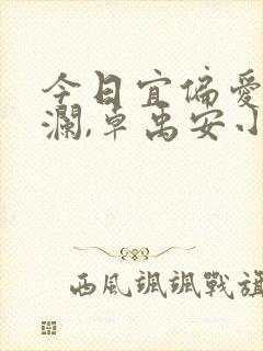 今日宜偏爱舒听澜,卓禹安小说全文免费阅读