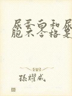 尿蛋白和尿红细胞不合格是什么原因