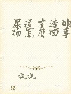 尿道有透明分泌物怎么回事