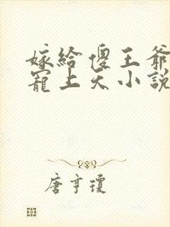 嫁给傻王爷后被宠上天小说