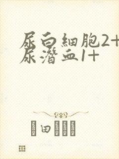 尿白细胞2+,尿潜血1+