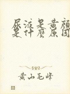 尿液是黄颜色的是什么原因