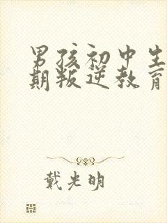 男孩初中生青春期叛逆教育