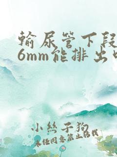 输尿管下段结石6mm能排出吗