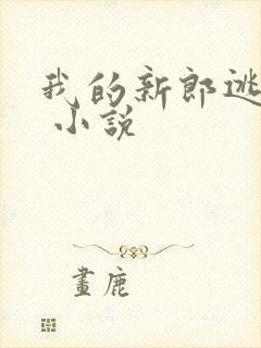 我的新郎逃婚了 小说