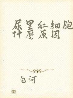 尿里红细胞高是什么原因