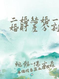 二婚结婚一年离婚财产分割