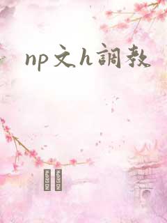 np文h调教