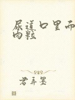 尿道口里面 小肉粒