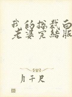 我的总裁白富美老婆完结版