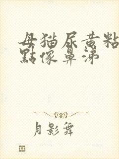 母猫尿黄粘稠有点像鼻涕