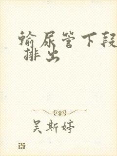 输尿管下段结石 排出