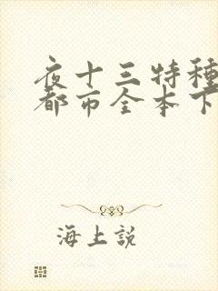 夜十三特种兵在都市全本下载