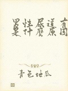 男性尿道有红点是什么原因