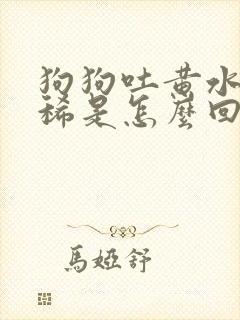 狗狗吐黄水又拉稀是怎么回事