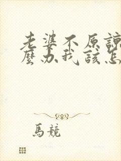 老婆不原谅我怎么办我该怎么做